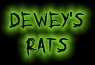 Look at Dewey's rats!!