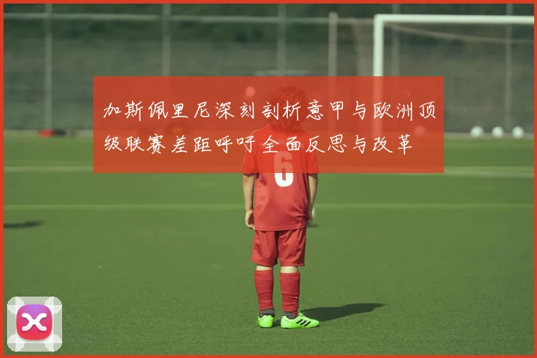 加斯佩里尼深刻剖析意甲与欧洲顶级联赛差距呼吁全面反思与改革